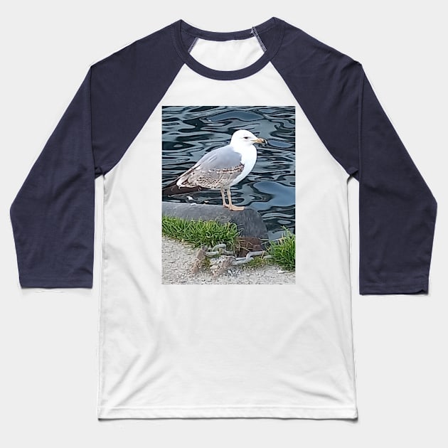 Sea bird Baseball T-Shirt by AJQ Tees